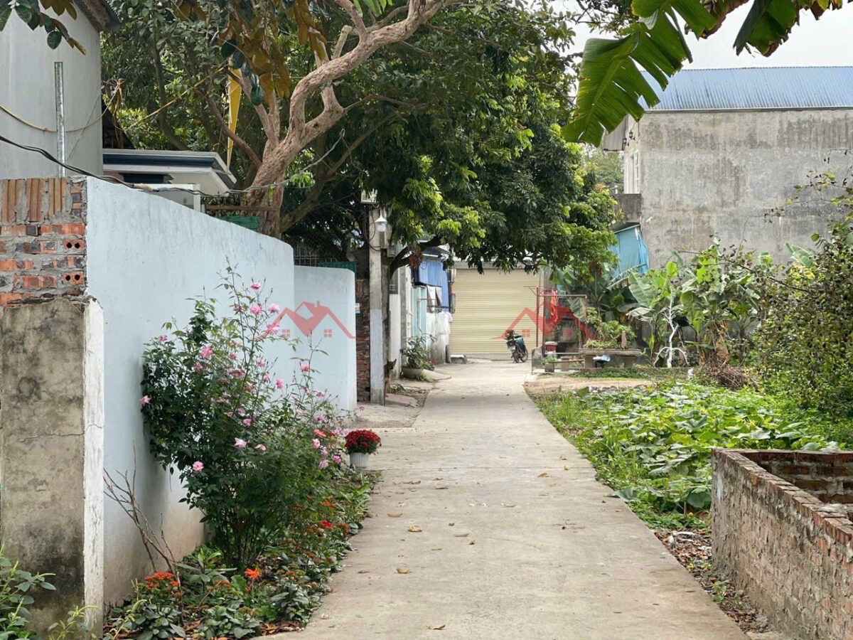 CHÍNH CHỦ BÁN LÔ ĐẤT 54,5M TẠI PHỤNG CHÂU-CHƯƠNG MỸ-HÀ NỘI - Ảnh 3