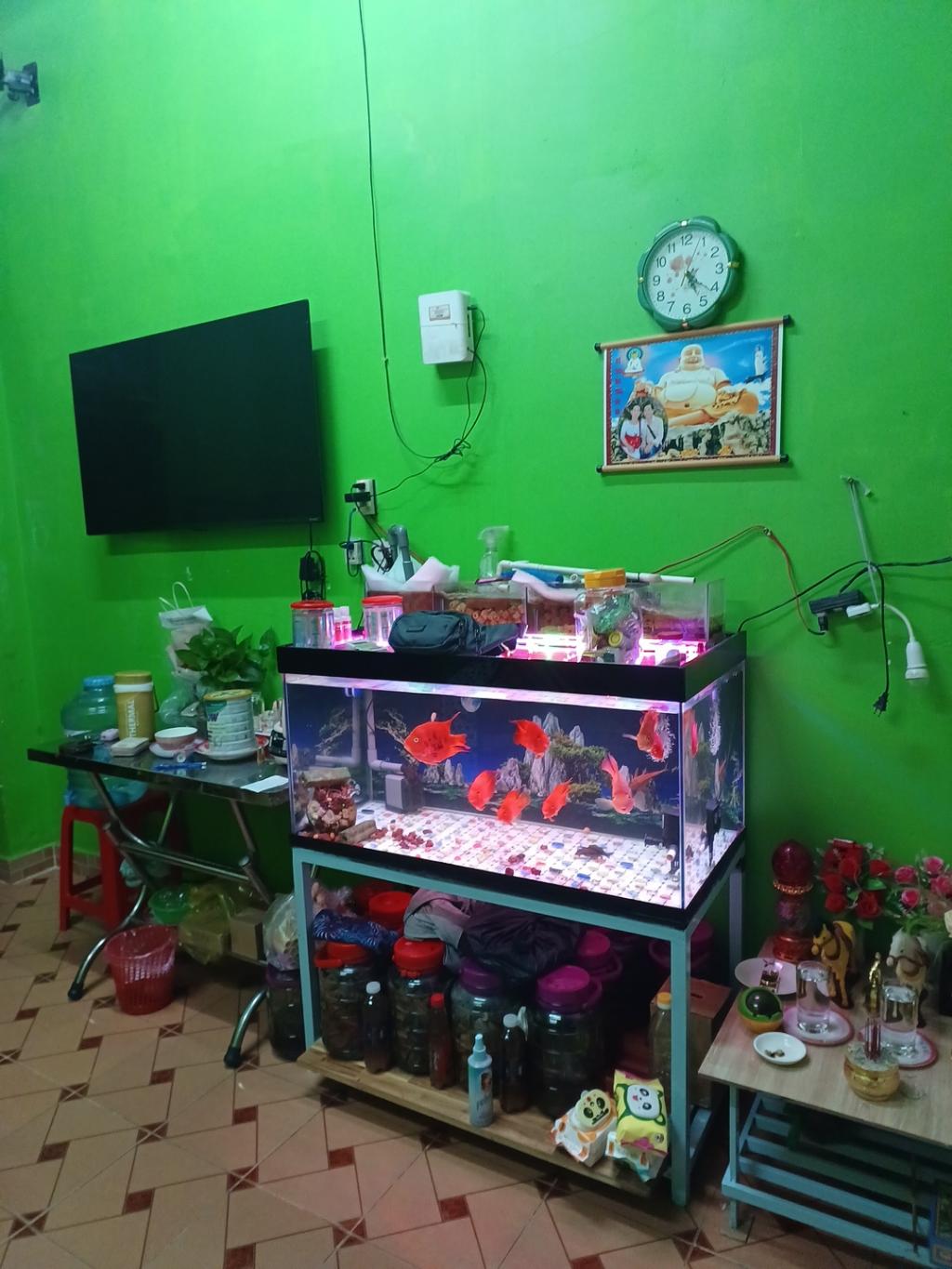 KẸT TIỀN BÁN NHÀ GIÁ RẼ,LƯU HỮU PHƯỚC, DT: 56M2 (4M X 14M) X 2T CHỈ 3 TỶ - Ảnh chính