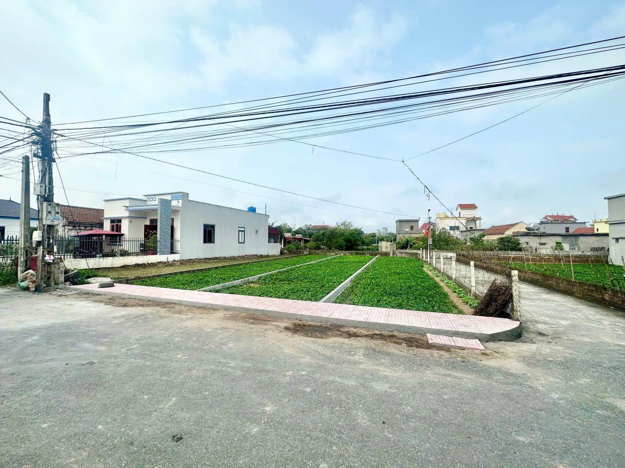 0975390519 -Cần Bán 70 mx 6m mặt tiền biển Giao Phong Cạnh khu nghỉ dưỡng Flamigo, Giá 1,2  tỷ - Ảnh chính
