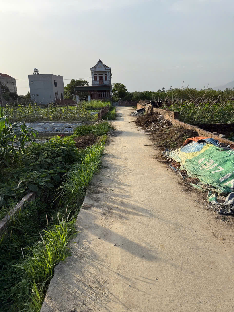 Bán đất thôn Bắc Thượng, Quang Tiến, Sóc Sơn, HN. Gần đường DT 131 và sân bay Nội Bài - Ảnh 1