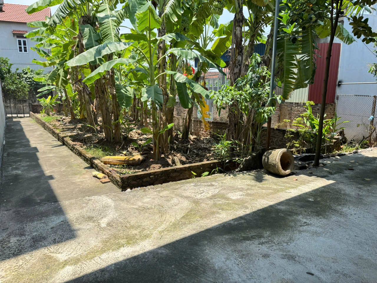 Bán đất Tiến Thịnh, Mê Linh. Lô góc, 3 mặt thoáng. Gần bến phà Chu Phan - Ảnh 1