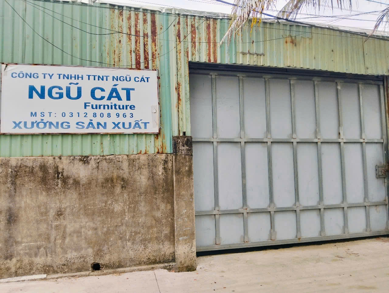 BÁN XƯỞNG ĐANG CHO THUÊ - HẺM XE HƠI - NHỊ BÌNH, HÓC MÔN - DIỆN TÍCH LỚN - GIÁ CHỈ 11 TỶ - Ảnh chính