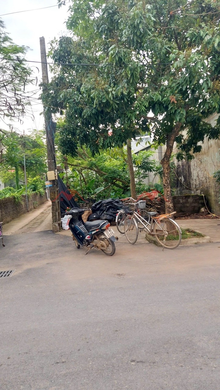 CHÍNH CHỦ BÁN LÔ ĐẤT 114M TẠI PHỤNG CHÂU-CHƯƠNG MỸ-HÀ NỘI - Ảnh 1