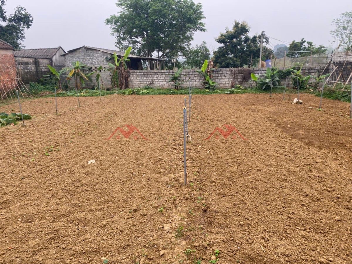 CHÍNH CHỦ BÁN LÔ ĐẤT 380M TẠI HOÀNG VĂN THỤ-CHƯƠNG MỸ-HÀ NỘI - Ảnh 1