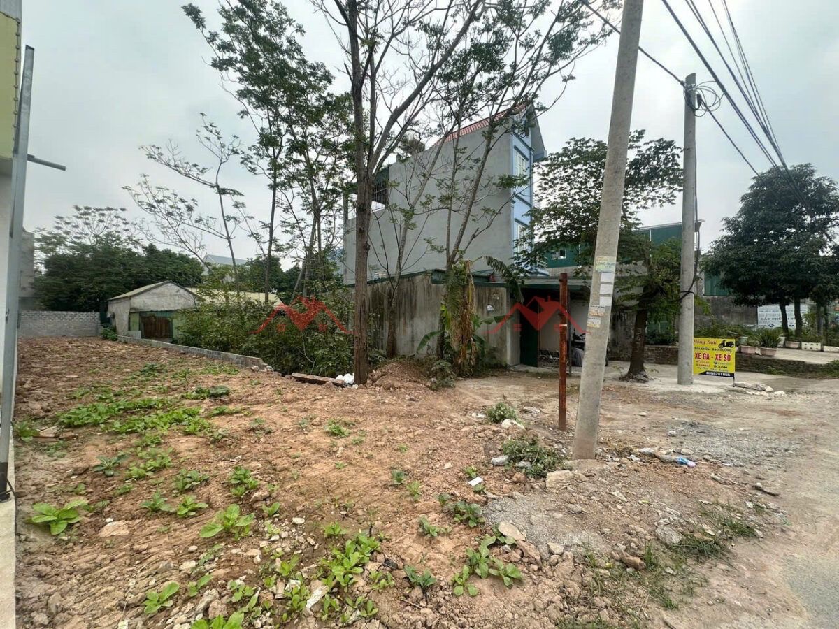 CHÍNH CHỦ BÁN LÔ ĐẤT 125M TRỤC CHÍNH KINH DOANH ĐẠI YÊN-CHƯƠNG MỸ-HÀ NỘI - Ảnh 1