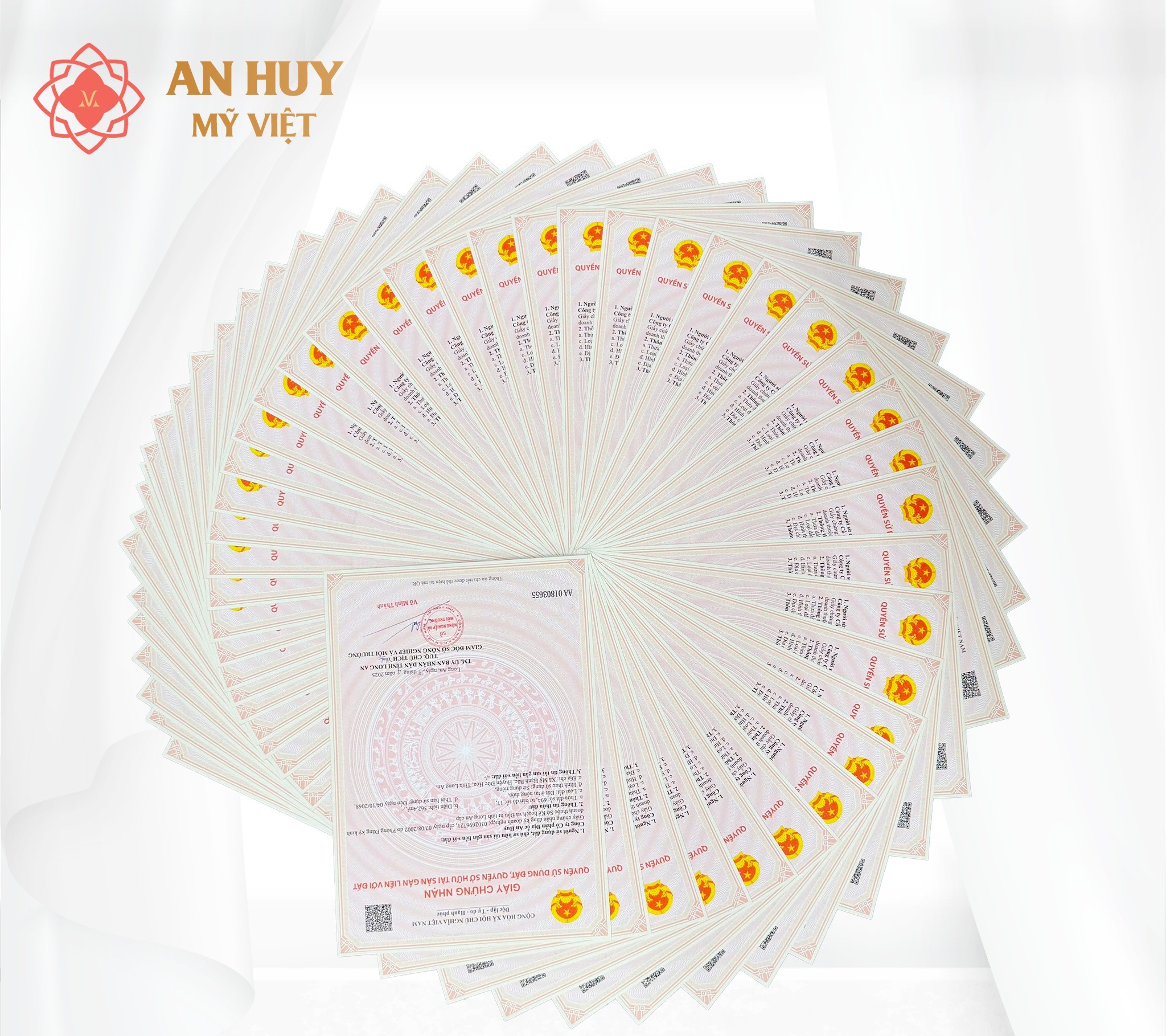 KDT AN HUY MỸ VIỆT - Ảnh 2