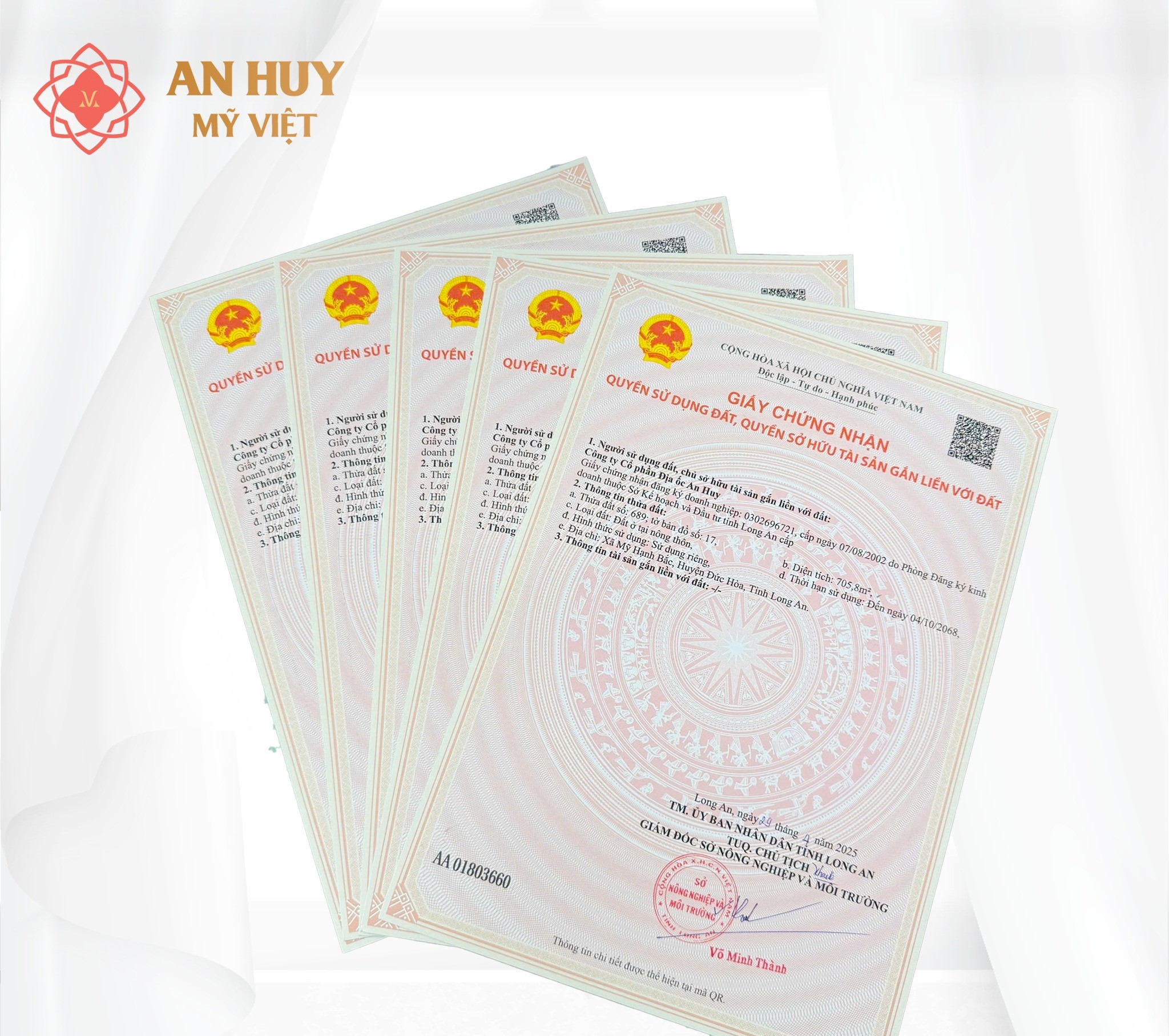 KDT AN HUY MỸ VIỆT - Ảnh 1
