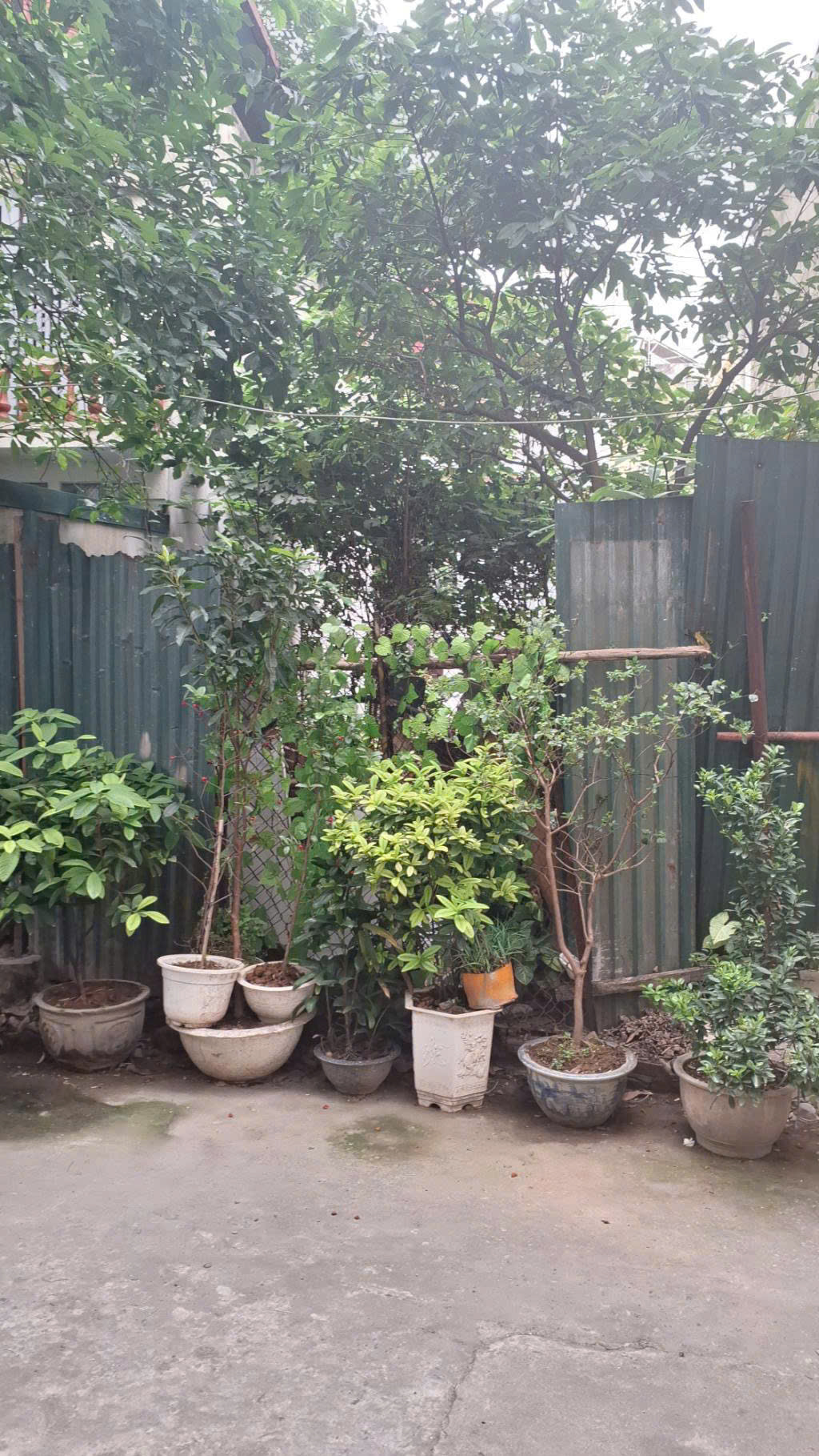 NHỈNH 6 TỶ, SÓT LẠI MẢNH ĐẤT VÀNG PHỐ HỒNG TIẾN 45M, 2 MẶT NGÕ, SÁT PHỐ, AN SINH TUYỆT VỜI - Ảnh chính