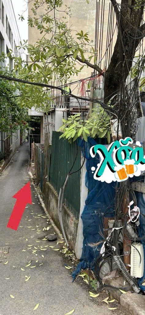BÁN ĐẤT ÂU CƠ RẺ NHẤT QUẬN TÂY HỒ-110M2-16,5TỶ-VIEW HỒ ĐUÔI CÁ-ÔTÔ GẦN-XÂY APAMENT QUÁ ĐẸP - Ảnh chính