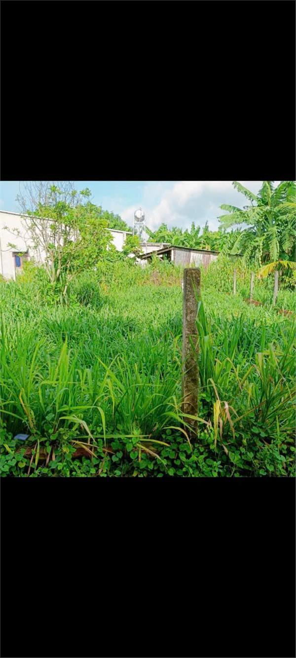 ĐẤT CHÍNH CHỦ - GIÁ TỐT - Cần Bán Tại Khu Phố Lộc Thanh, Phường Lộc Hưng, Trảng Bàng, Tây Ninh - Ảnh 1