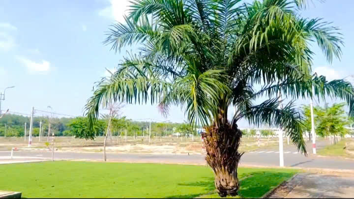 BÁN ĐẤT SỔ SẴN CÔNG CHỨNG NGAY - Ảnh chính