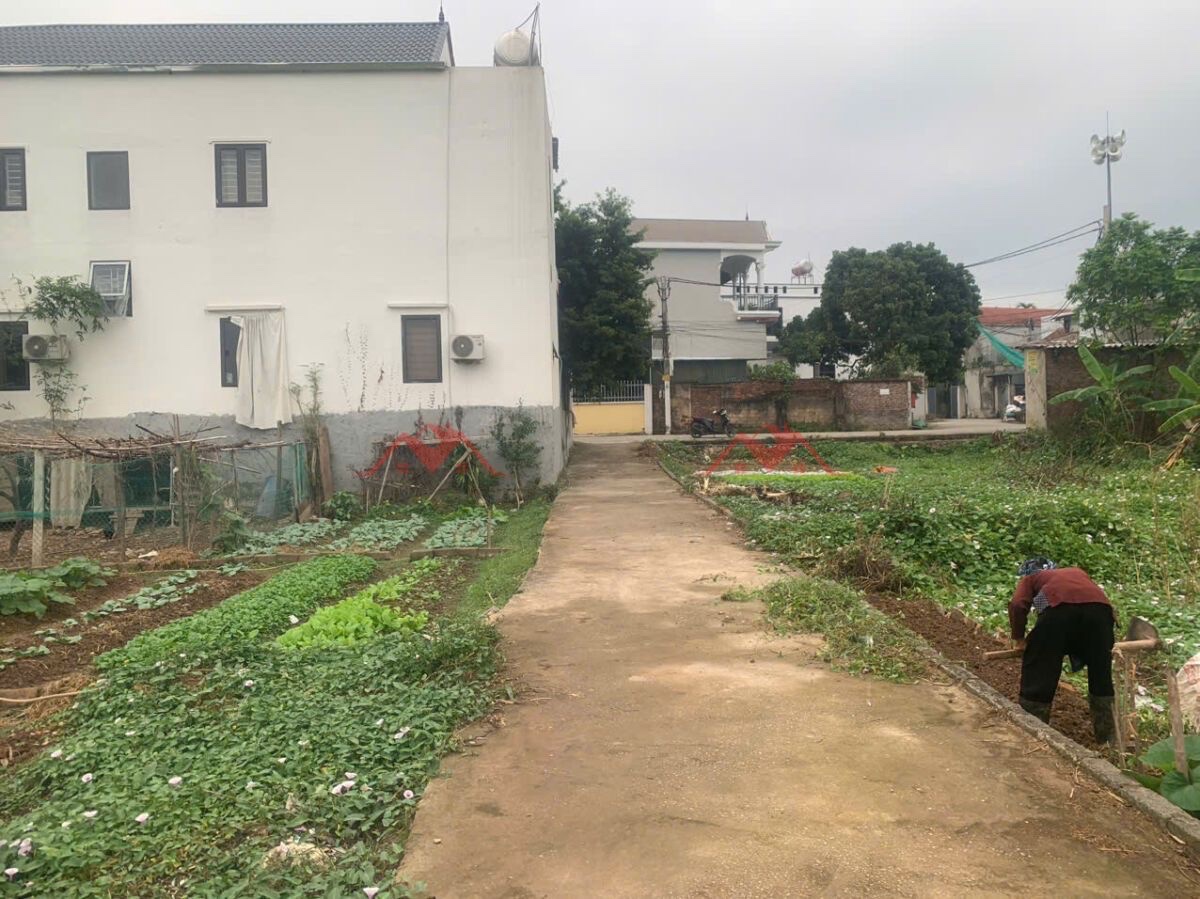 CHÍNH CHỦ BÁN LÔ ĐẤT 69,2M TẠI TỐT ĐỘNG-CHƯƠNG MỸ-HÀ NỘI - Ảnh 1