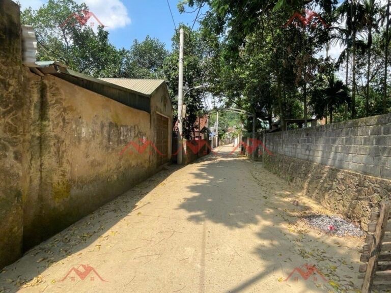 CHÍNH CHỦ BÁN LÔ ĐẤT 49,6M TẠI TIÊN PHƯƠNG-CHƯƠNG MỸ-HÀ NỘI - Ảnh 1