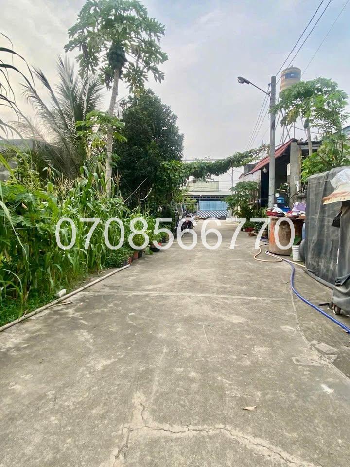 Nhà mới gần KCN Cầu Tràm cần đổi chủ, DT 74m2, chỉ nhỉnh 1 tỷ - Ảnh 3