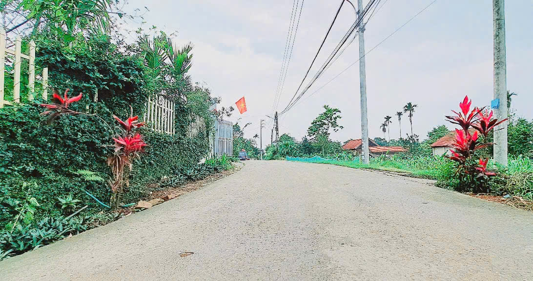 Bán lô đất tuyến 2 tỉnh lộ 414 Ba Trại Ba Vì_1784M_200M đất ở bám đường 2oto tránh_2,xtr/m - Ảnh 2