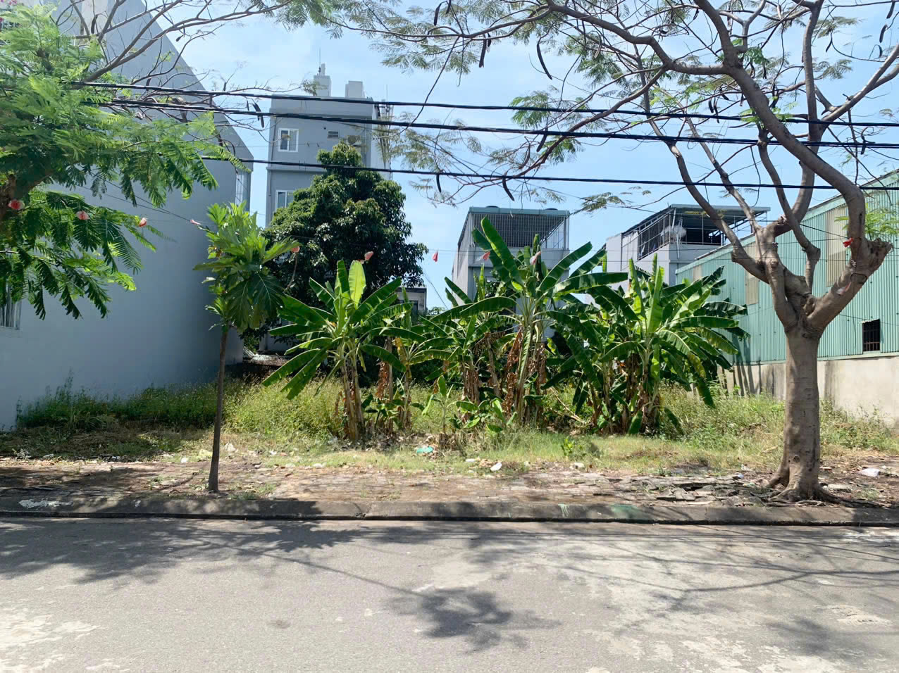 BÁN GẤP LÔ ĐẤT BÀU MẠC 4 LIÊN CHIỂU GẦN BIỂN – VỊ TRÍ ĐẸP – GIÁ CỰC MỀM - Ảnh chính