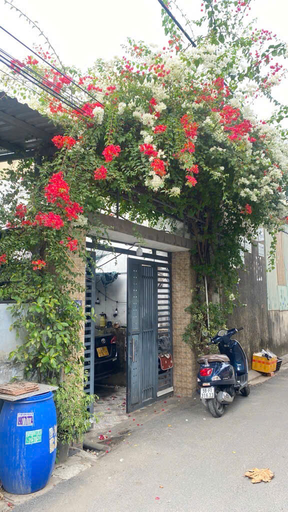 🌈Nhà Đẹp SHR Đường Vườn Lài P An Phú Đông Q 12-Hai Tầng 4PN-133m2 (8,7x16) HXT 8m- Chỉ 6.3tỷ<br>✅Diện - Ảnh 1