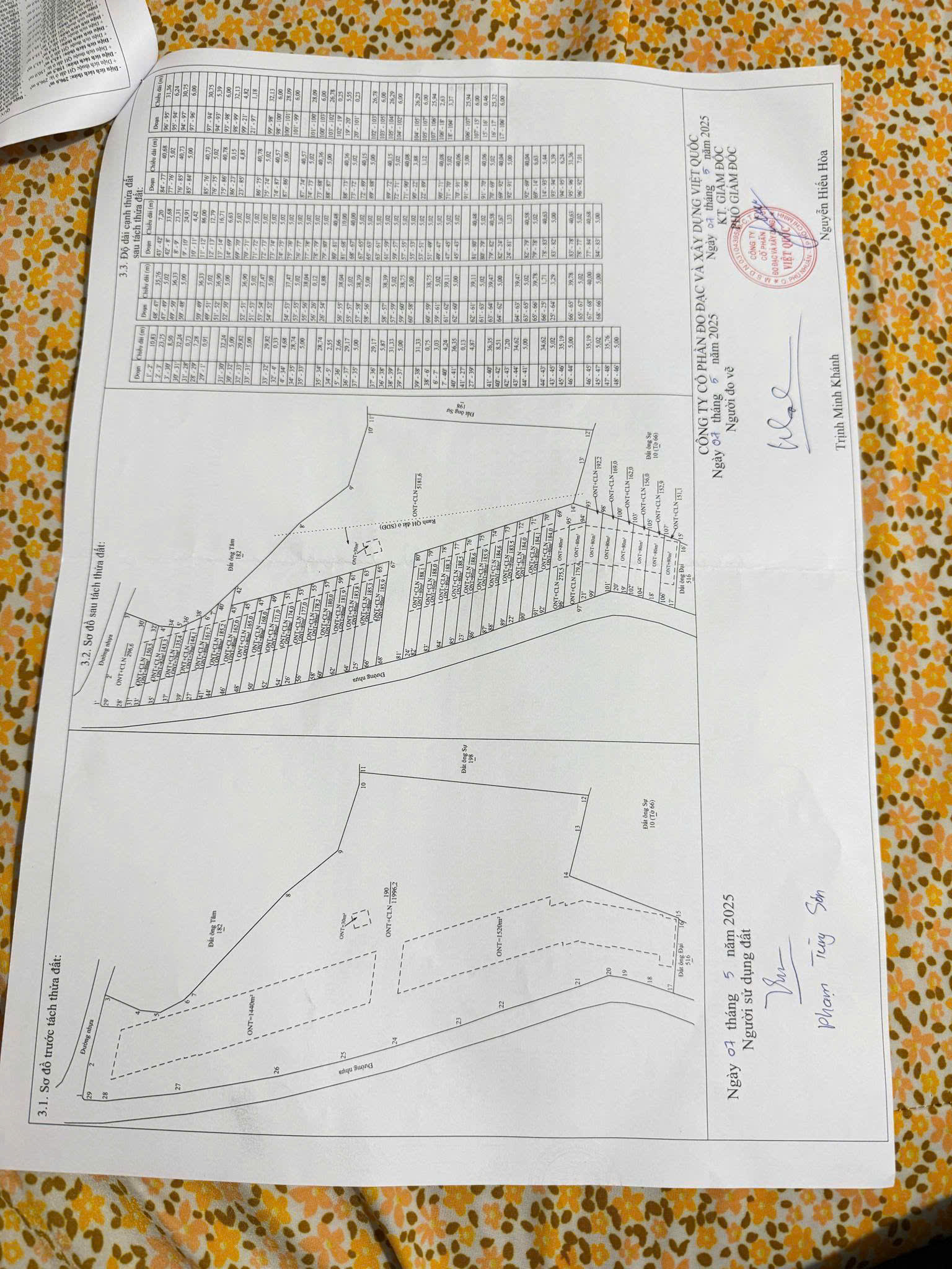 Chủ bán 21 nền bầu chinh mổi sổ 80 thổ cư mặt tiền nhựa - Ảnh 3