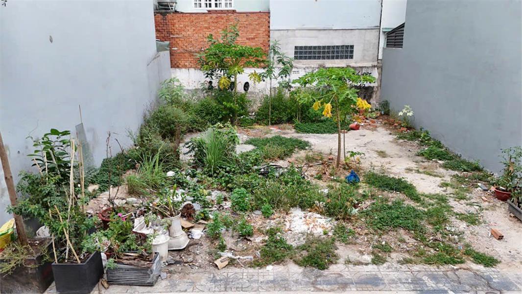 BÁN ĐẤT THOẠI NGỌC HẦU,TÂN PHÚ,FULL THỔ CƯ,HẺM XE HƠI,52M2,GIÁ 6 TỶ - Ảnh 2
