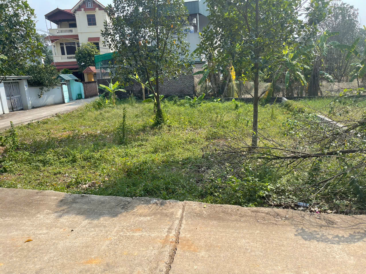 LÔ GÓC SIÊU NÉT 200M2, CÓ 100M2 THỔ CƯ - Ảnh chính