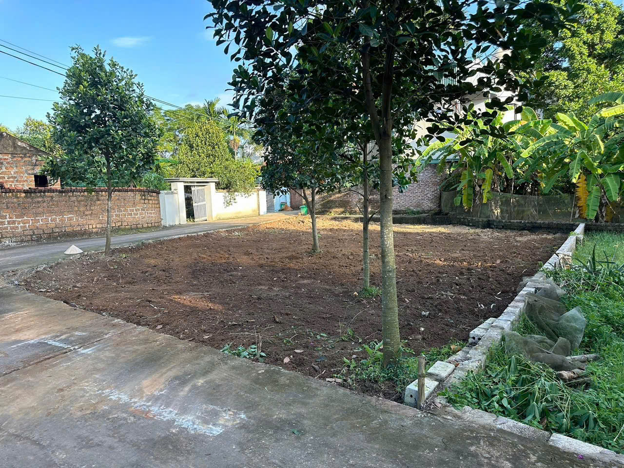 LÔ GÓC SIÊU NÉT 200M2, CÓ 100M2 THỔ CƯ - Ảnh 1