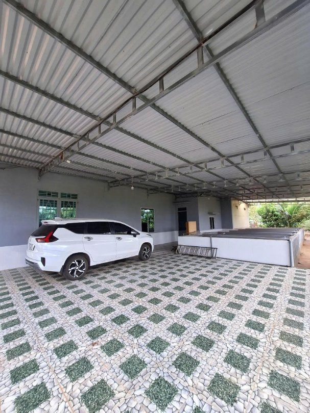 Bán 6.000m² Đất Trang Trại - Khu Nghỉ Dưỡng tại Đường Lý Chính Thắng, P.chi Lăng, Pleiku, Gia Lai - Ảnh 2