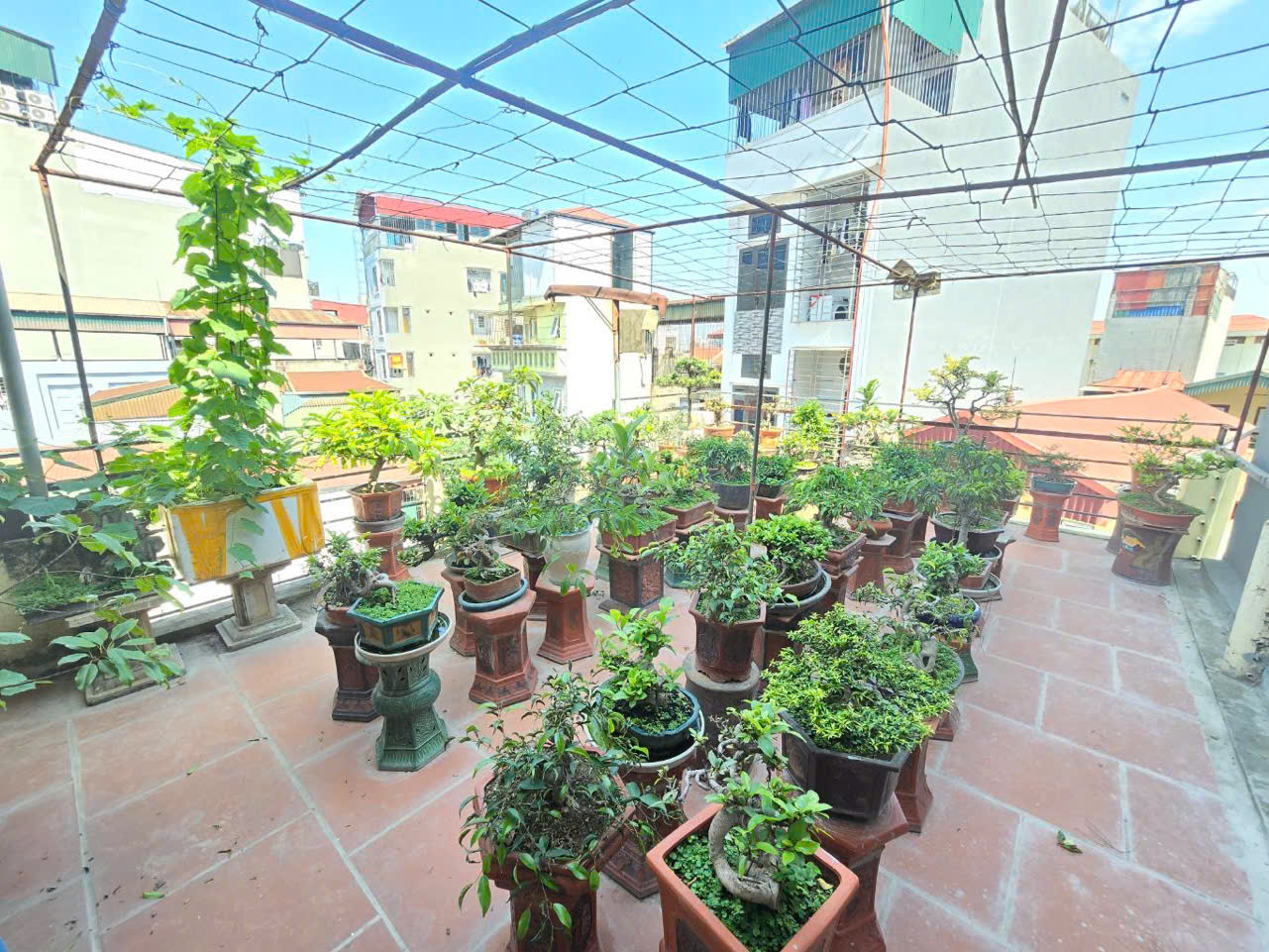 NHÀ CHÍNH CHỦ - Vị Trí Đẹp Mặt ngõ 750 Kim Giang 56m2 - Giá 13.7 tỷ - Ảnh 4