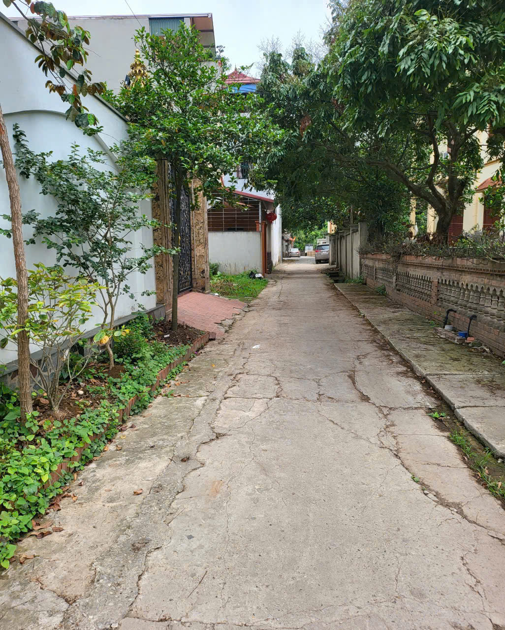 Bán 87m đất thôn Phú Hữu, Thanh Lâm, Mê Linh. Đường thông, oto đỗ đất - Ảnh 2