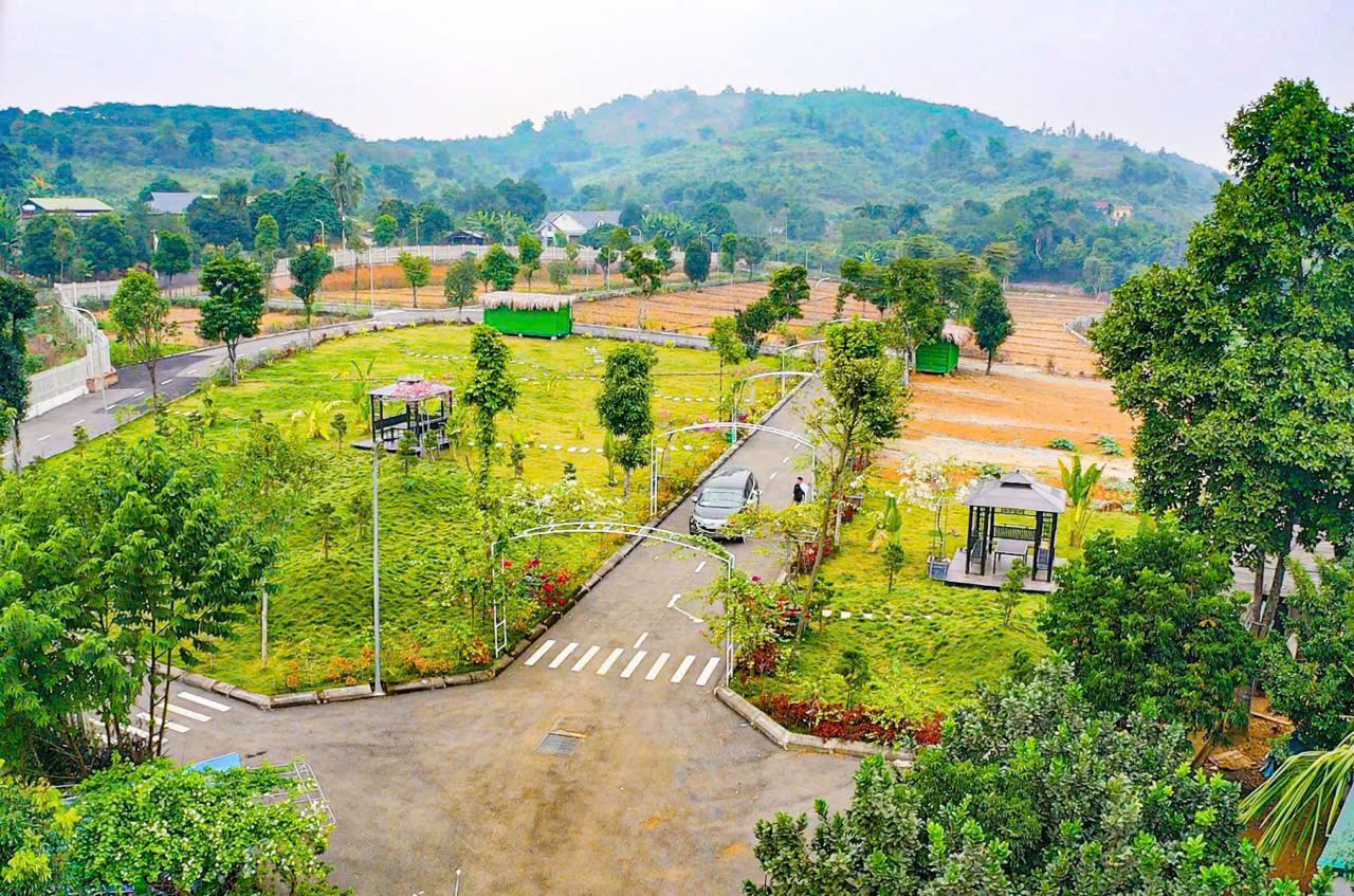 bán mảnh đât 260m2 Thạch Thất, Hoà Lạc - Ảnh 3