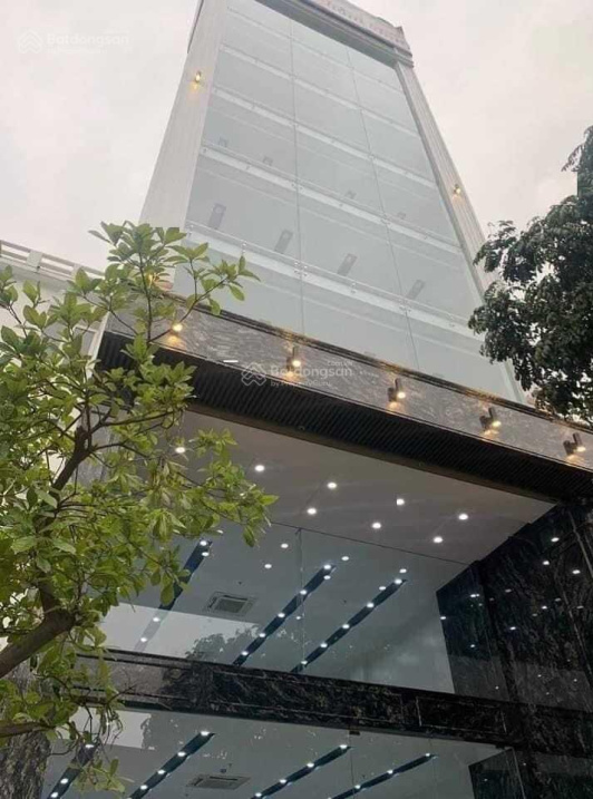 Về giá bán tài sản 9 tầng mặt tiền Tôn Thất Tùng, Phạm Ngũ Lão, Quận 1 (DT: 4,6x21m) giá chỉ 65 tỷ - Ảnh chính