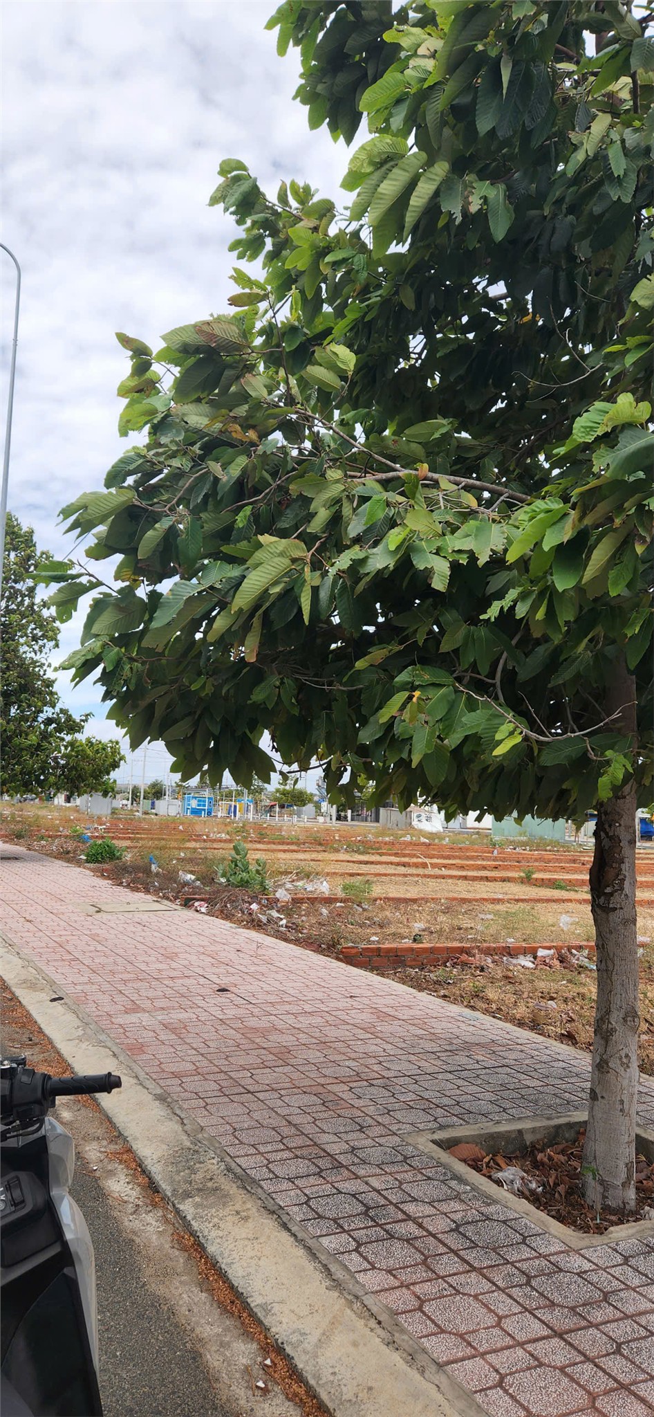 CHÍNH CHỦ BÁN ĐẤT VỊ TRÍ ĐẸP TẠI Thị Trấn Phan Rí Cửa - Tuy Phong - Bình Thuận - Ảnh 1
