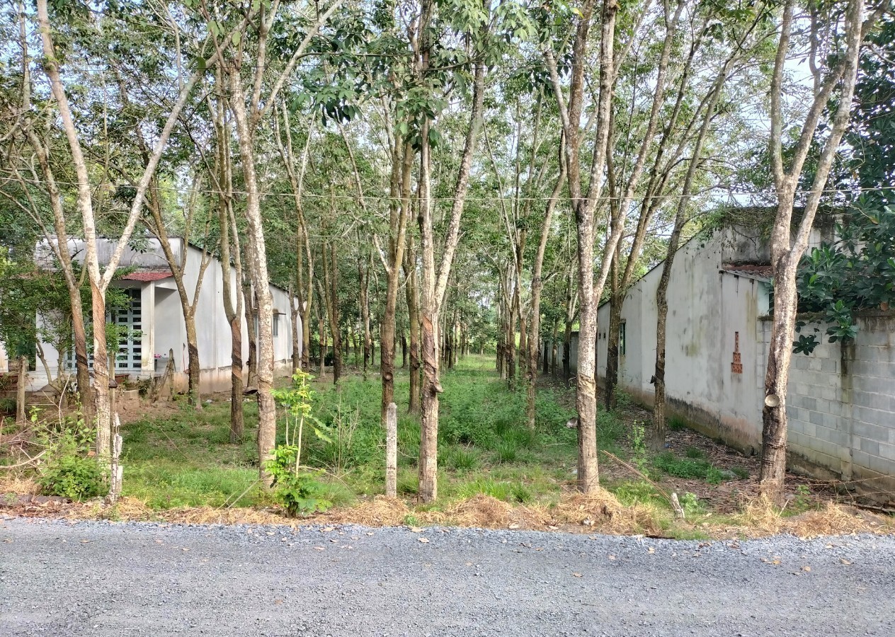 Bán 1000m2 đất thổ cư đường Nhuận Đức- giá 5ty5 - Ảnh 1