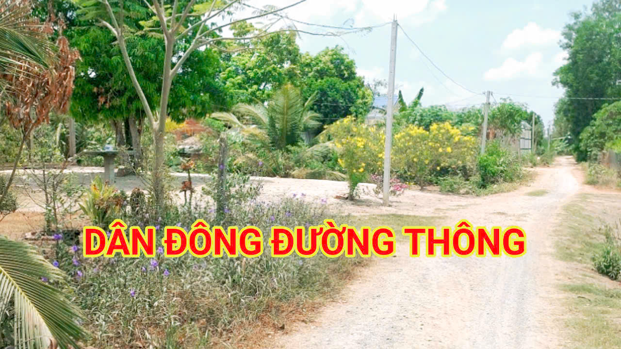 280 Triệu sang Tên 1000m2 có Thổ Cư, Gần DT 818, mỗi tháng trả thêm 3 triệu - Ảnh 1