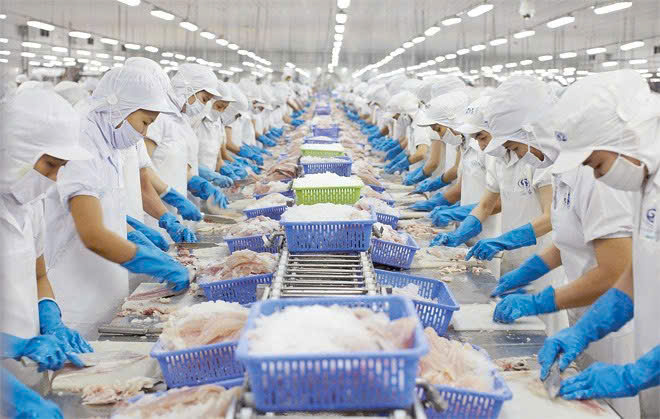 Bán nhà máy chế biến thuỷ hải sản tại Tiền Giang, đang hoạt động và đủ tiêu chuẩn xuất khẩu - Ảnh chính