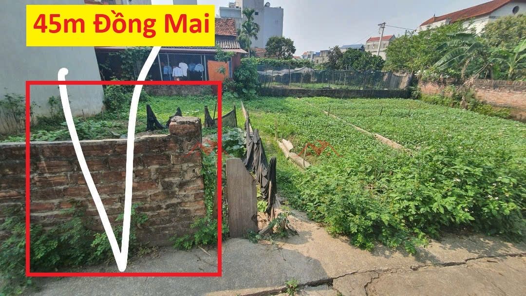 CHÍNH CHỦ BÁN LÔ ĐẤT 45M TẠI NHÂN HUỆ-ĐỒNG MAI-HÀ ĐÔNG-HÀ NỘI - Ảnh chính