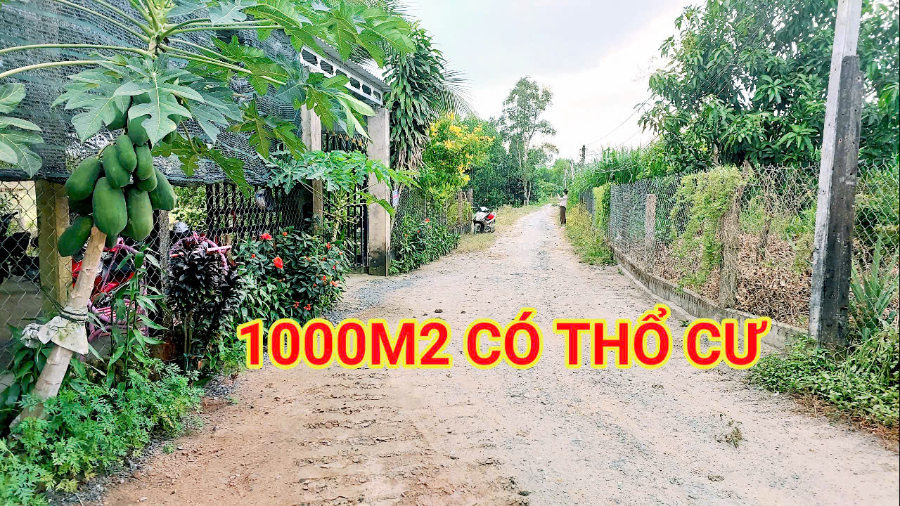 300 Triệu sang Tên 1000m2 có Thổ Cư, Gần DT 818, mỗi tháng trả dần 3 triệu - Ảnh 2