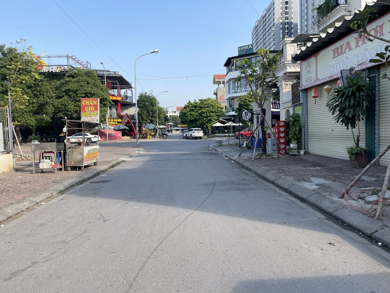 Đất đẹp KĐT 31ha Trâu Quỳ: 254m2, mặt tiền rộng, kinh doanh đỉnh, đối diện chợ tạm Trâu Quỳ - Ảnh 2
