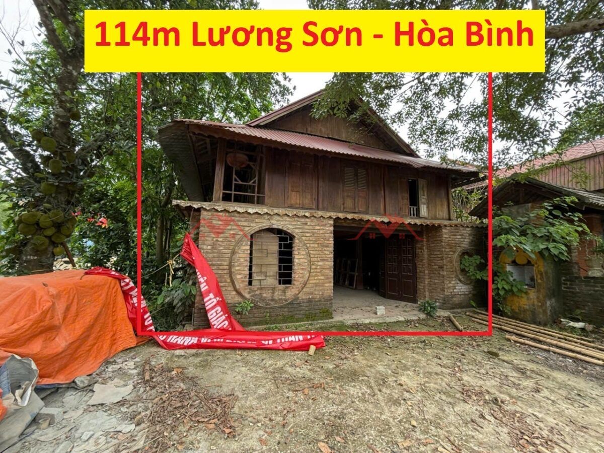 CHÍNH CHỦ BÁN LÔ ĐẤT 114M TẠI LƯƠNG SƠN-HÒA BÌNH - Ảnh chính