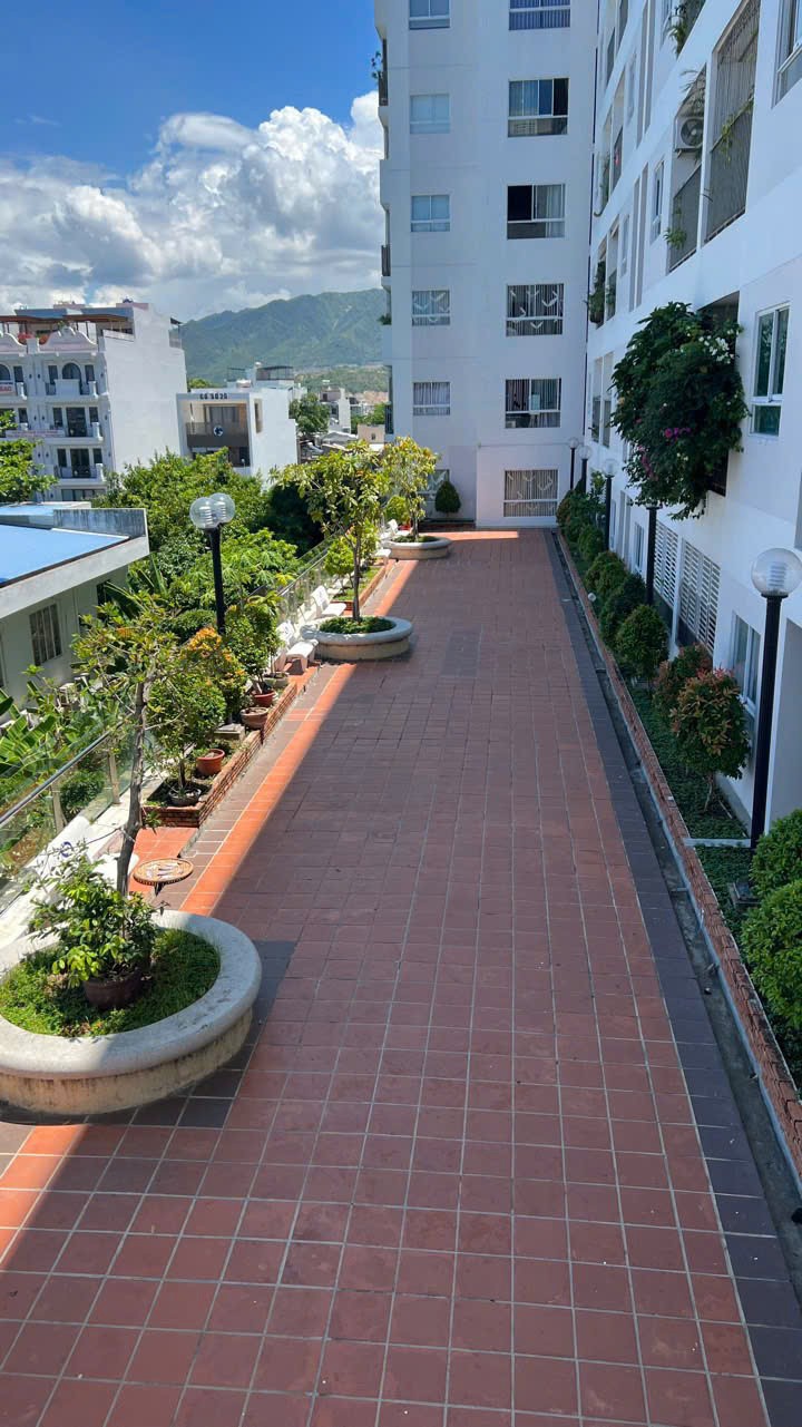 CẦN  BÁN  NHANH CĂN CHUNG CƯ GÓC 2 MẶT TIỀN CT1  Phước Hải- P.Phước hải. Tp nha trang- khánh hoà - Ảnh 4