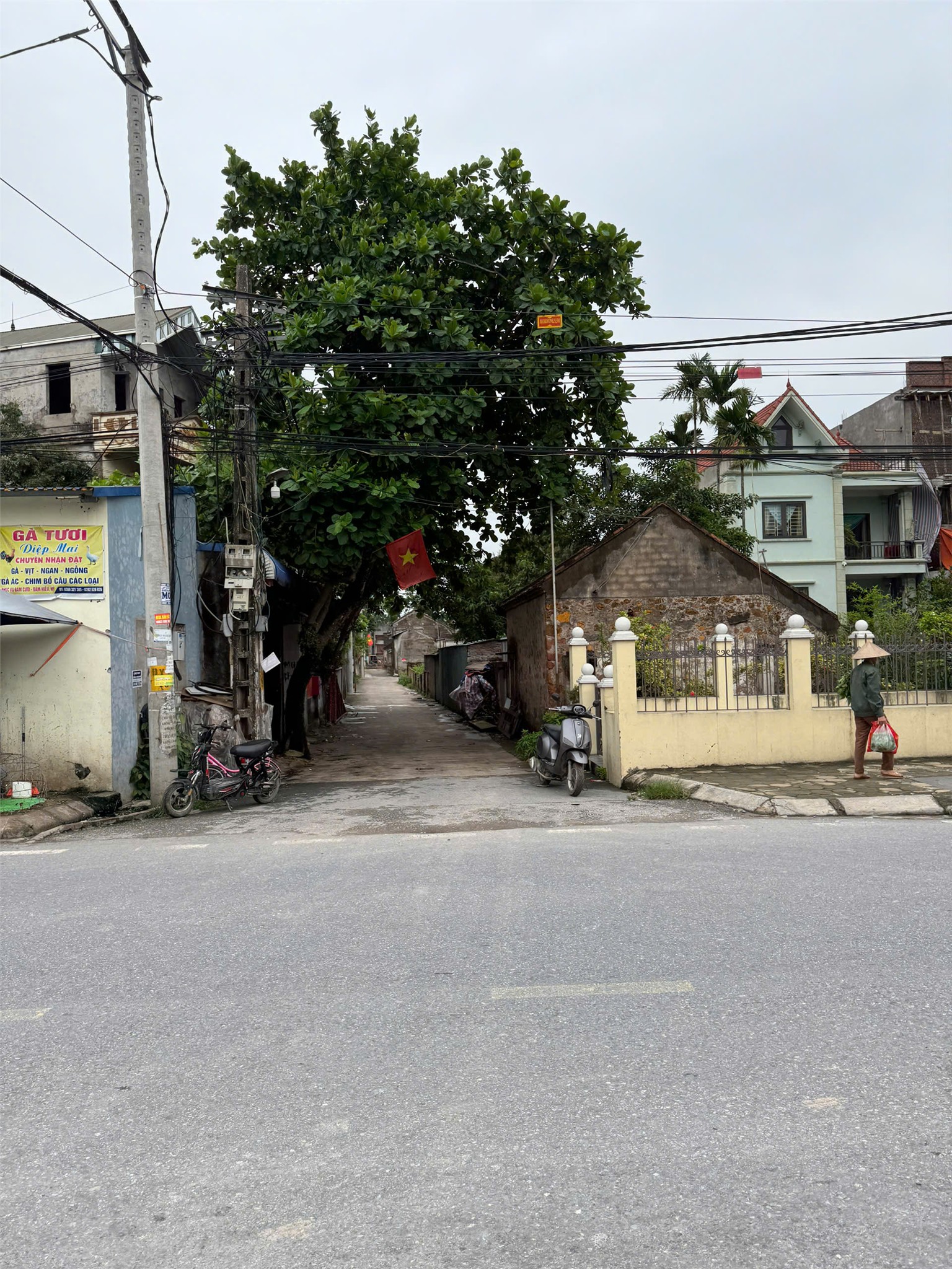 ĐẤT ĐẸP - GIÁ TỐT - Chính Chủ Cần Bán Đất Tại Xóm Làng, Xã Đại Yên, Huyện Chương Mỹ, Hà Nội - Ảnh chính