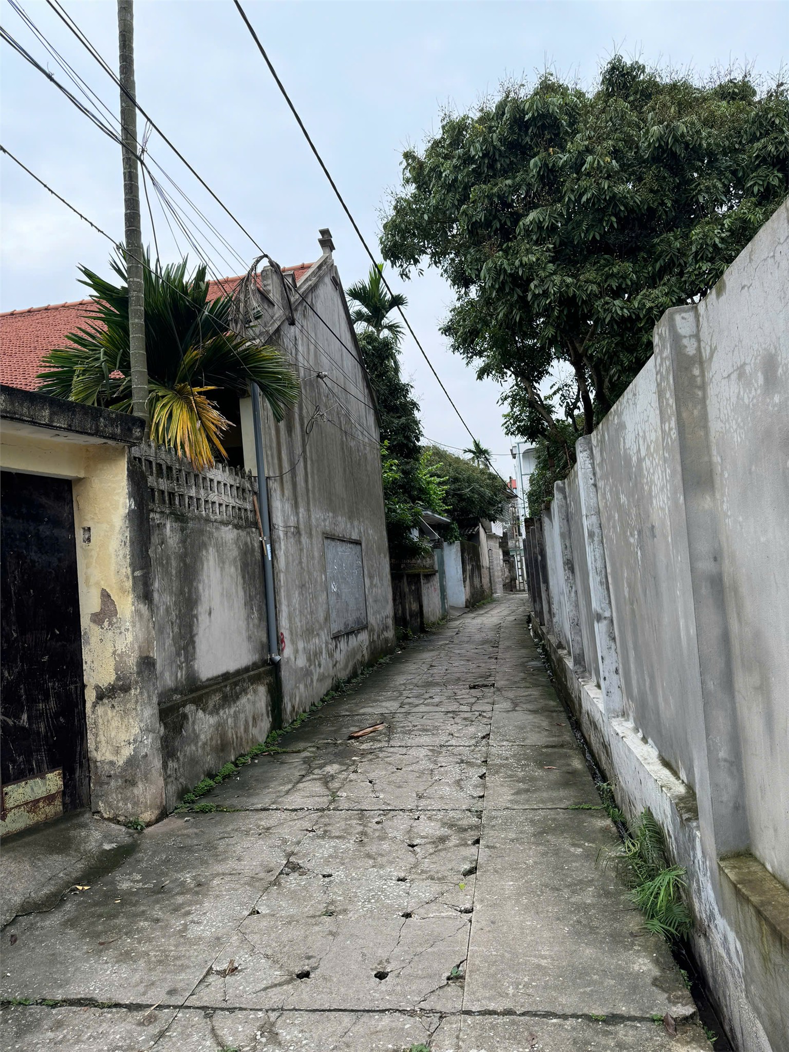 ĐẤT ĐẸP - GIÁ TỐT - Chính Chủ Cần Bán Đất Tại Xóm Làng, Xã Đại Yên, Huyện Chương Mỹ, Hà Nội - Ảnh 3