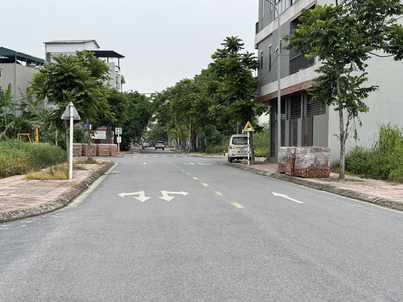 Lô Góc Mặt Phố Hoa Động, Cự Khối 122,6m2 Kinh Doanh Đỉnh, Đầu Tư Sinh Lời Ngay! - Ảnh 3