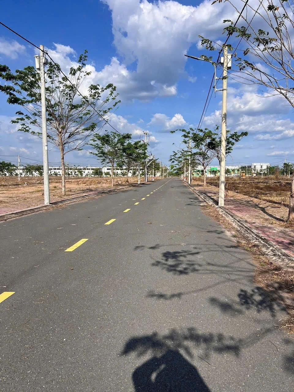 Cần bán đất ngộp giá rẻ tại Bàu Bàng, Bình Dương Diện tích 105m2, ngang 5 dài 21 Đất ở đô thị, xây dựng tự do  Sổ sẵn sang tên trong ngày - Ảnh 4