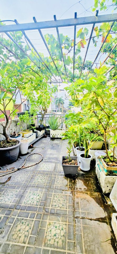 GẤP BÁN GIẢM 1 TỶ - GIÁP TÂN BÌNH - Q11 - HXH  - 82M - 3 TẦNG CHỈ 6.X TỶ - Ảnh 4