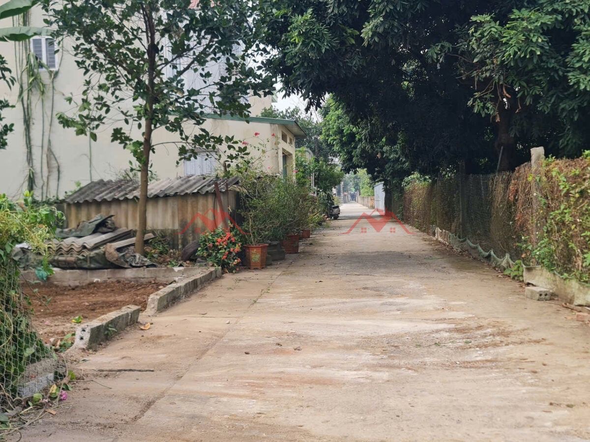 CHÍNH CHỦ BÁN LÔ ĐẤT 81,5M TẠI THỦY XUÂN TIÊN-CHƯƠNG MỸ-HÀ NỘI - Ảnh 1