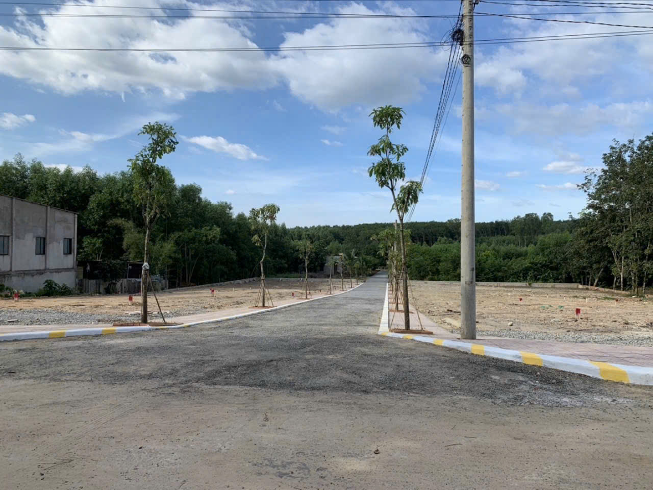Cần bán đất nền nhà phố tại xã Phước Bình, huyện Long Thành, tỉnh Đồng Nai - Ảnh 2