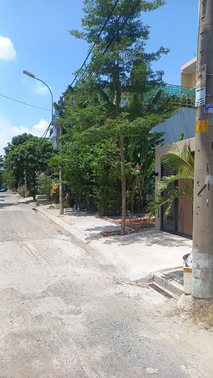 HOT, KẸT TIỀN BÁN GẤP LÔ ĐẤT PHẠM THẾ HIỂN [P7, Q8] 96M2 (4X24M) CHỈ 5.15 TỶ - Ảnh 3