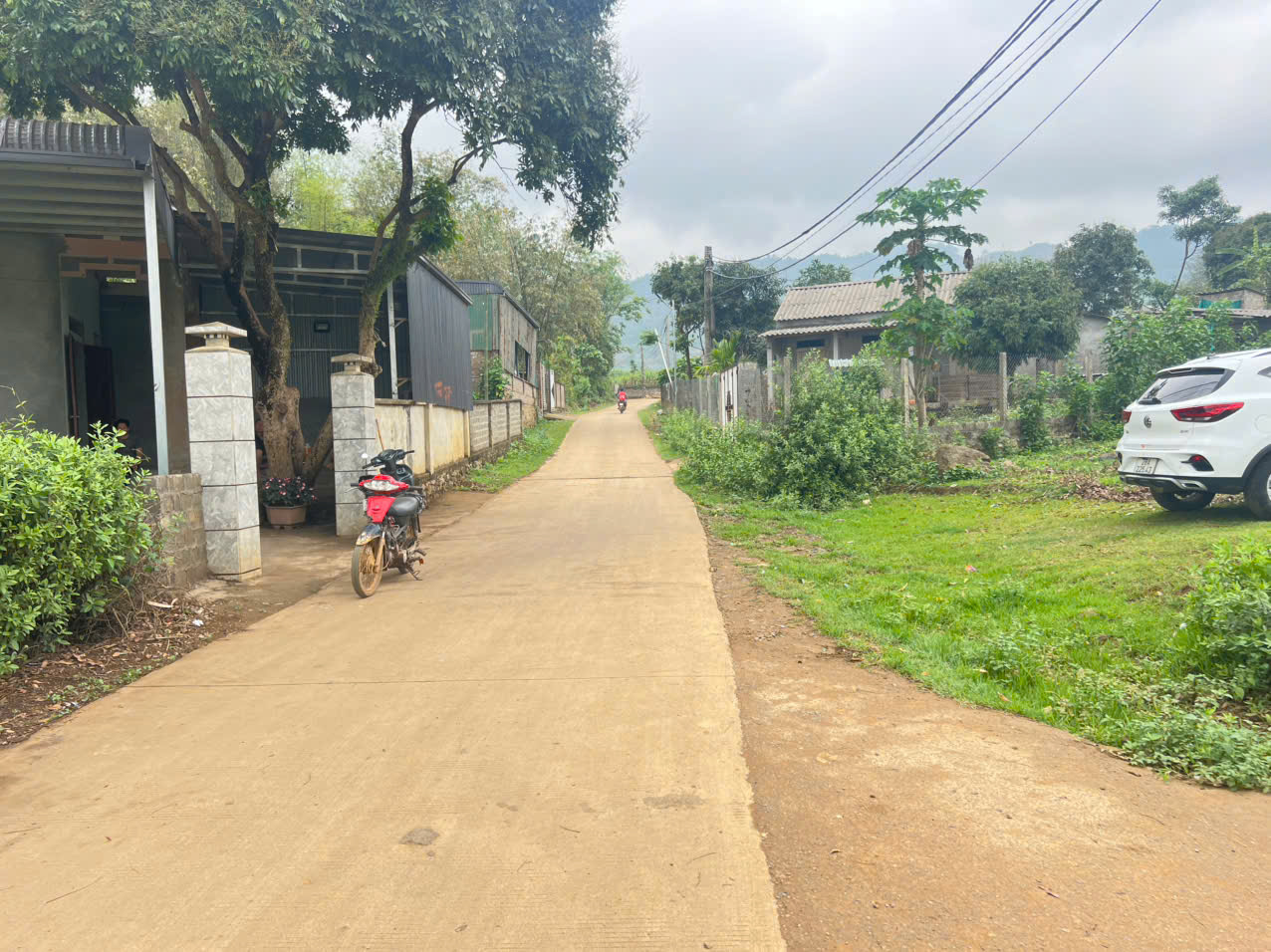 Cần bán 1000M2 full thổ cư bám đường bê tông to_tiện ích đầy đủ Cao Phong_Hoà Bình_1,x tỷ - Ảnh chính