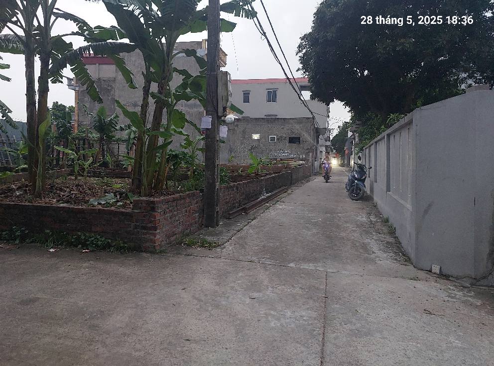 Chủ cần bán gấp 60m2,mt4m, ô tô thông, 4.95 tỷ, Uy Nỗ, Đông Anh. - Ảnh 4
