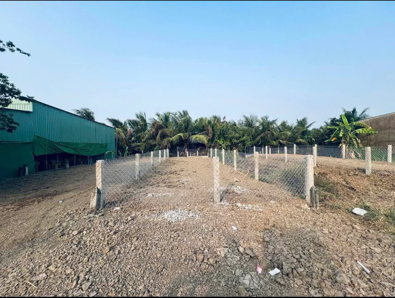 BÁN ĐẤT TÂN THÔNG HỘI- CỦ CHI, DT 80M2, 1TỶ2, SHR, CÔNG CHỨNG SANG TÊN NGAY - Ảnh chính